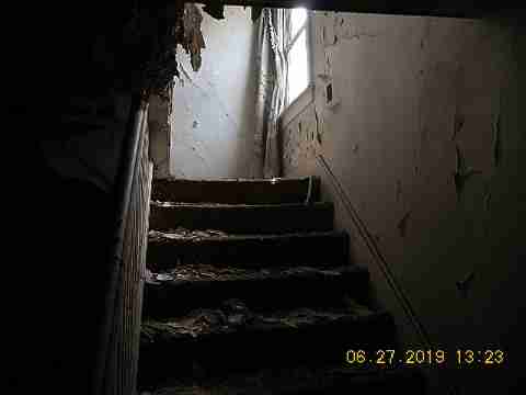 1085 Patricia (19)_m.jpg